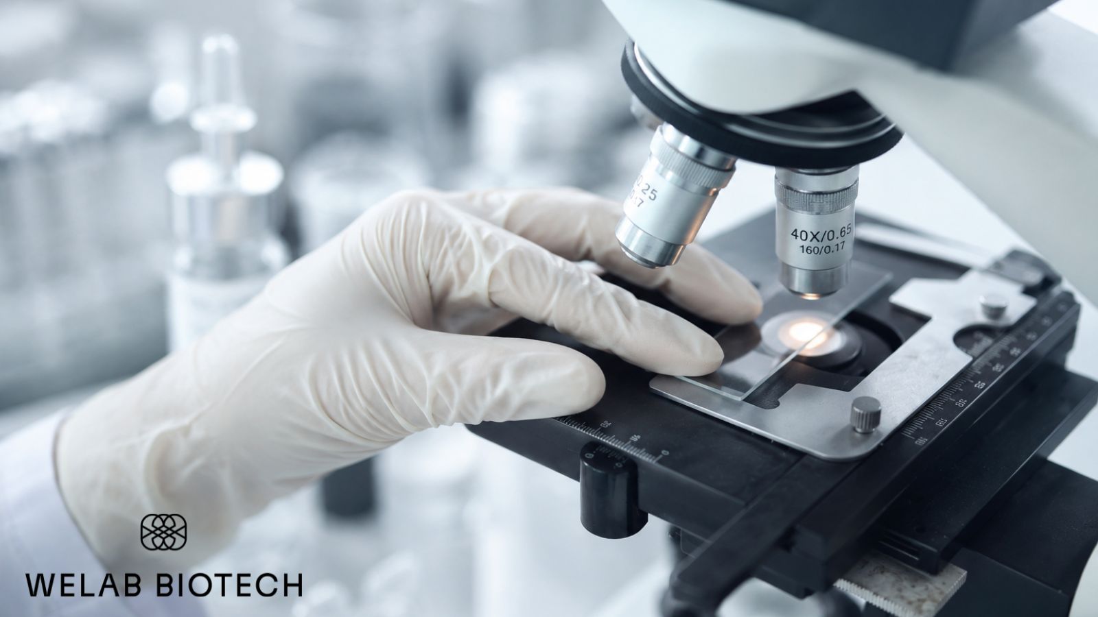 Laboratory research illustrating the science behind hair loss and hair growth biology.
