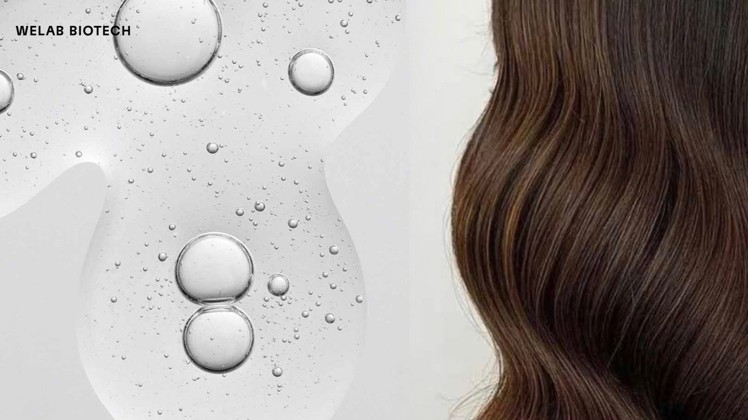 WELAB BIOTECH Hair Care Banner – Innovative Biotech Formula for Stronger, Healthier Hair